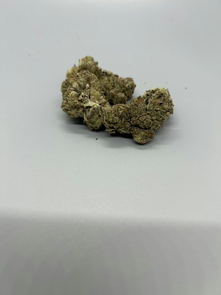 Sherb Crasher by Antero Sciences — flower available at Terps Dispensary, Pueblo, CO