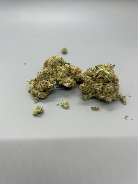 Medusa x Peach Breath #10 by Vera — flower available at Terps Dispensary, Pueblo, CO