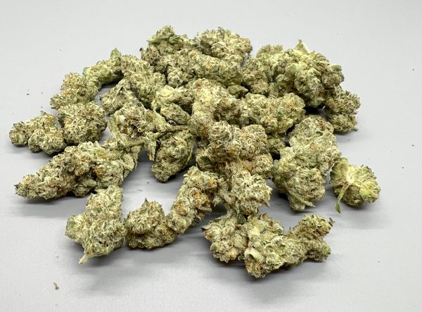 Jet Fuel by Silver Lake — flower at Terps Dispensary in Pueblo, CO