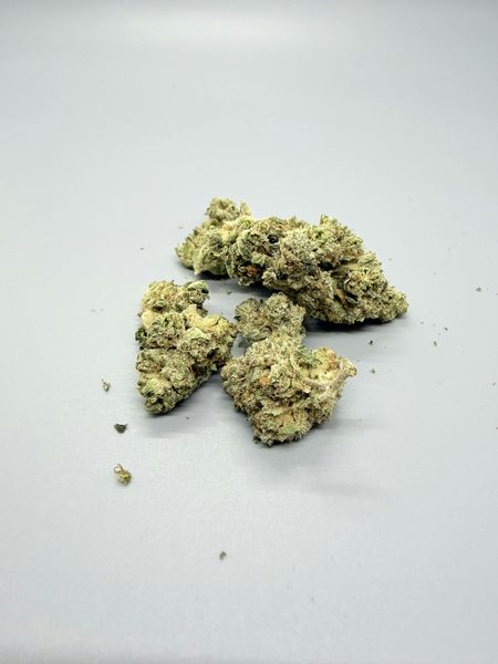 Gary Payton by Silver Lake — flower available at Terps Dispensary, Pueblo, CO
