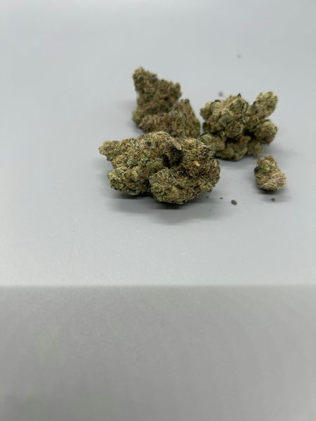 Black Cherry Gelato by Packwoods — flower available at Terps Dispensary, Pueblo, CO