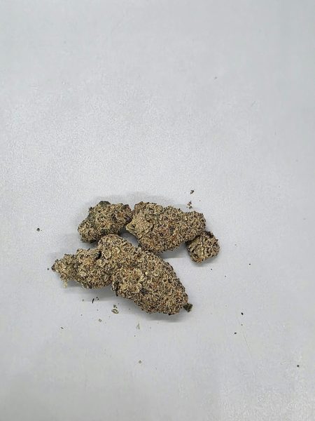 Virgin Mary LLC - Trich Beast by Terps — flower available at Terps Dispensary, Pueblo, CO