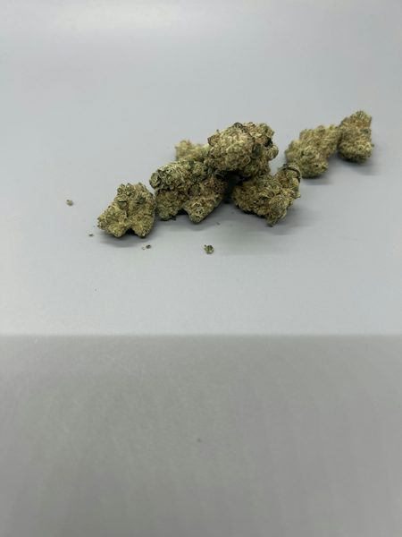 Paul Morphy by Vera Cultivation — flower available at Terps Dispensary, Pueblo, CO
