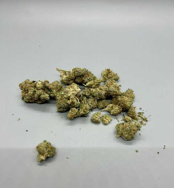 Tropicana Cookies by Silver Lake Farms — flower at Terps Dispensary in Pueblo, CO