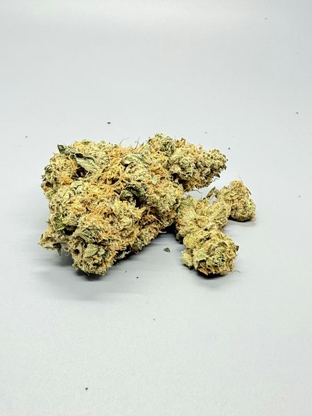 Sherblaster by Vera Cultivation — flower available at Terps Dispensary, Pueblo, CO