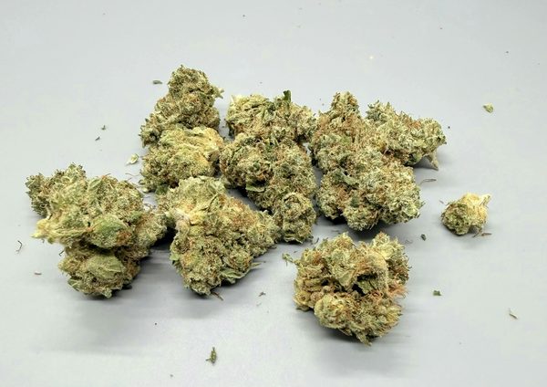 Gello by Silver Lake — flower available at Terps Dispensary, Pueblo, CO