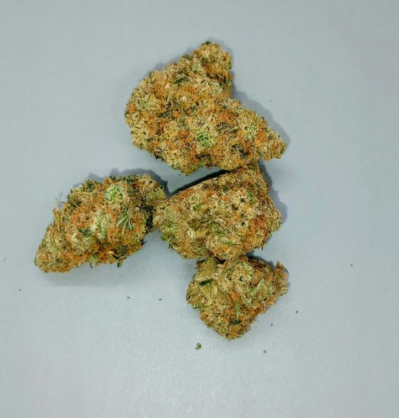 Blamo by Vera — flower available at Terps Dispensary, Pueblo, CO