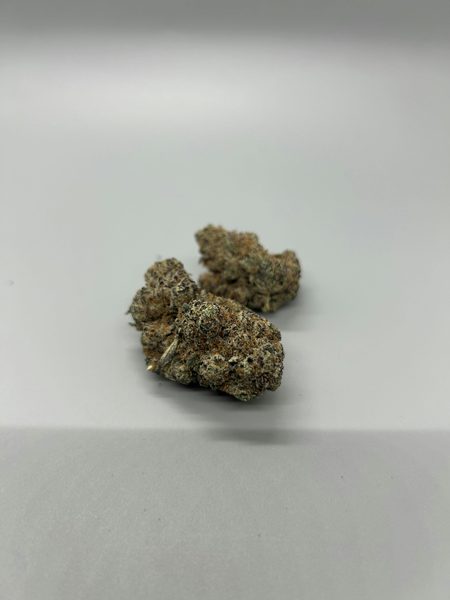 The Bakery Brothers -Pre-98 Blue Dream by The Bakery Brothers — flower at Terps Dispensary in Pueblo, CO