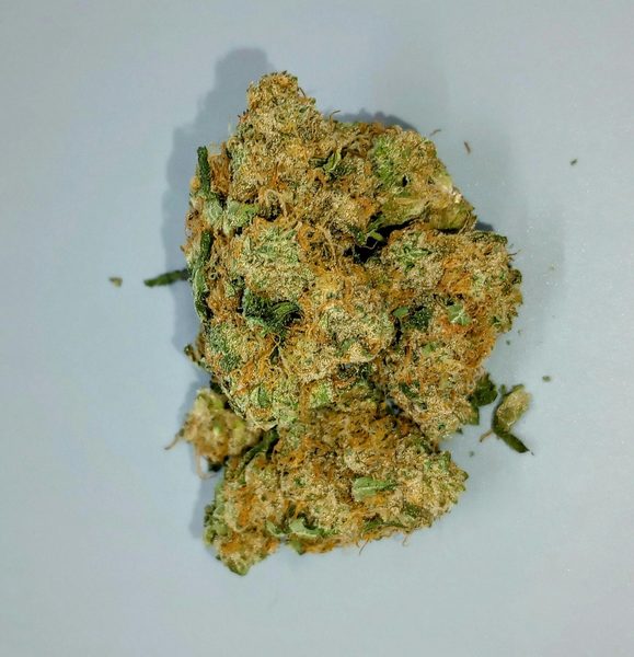 Sherbert Cream Pie by Vera — flower available at Terps Dispensary, Pueblo, CO