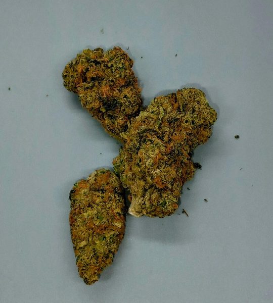 Papaya Juice by Antero Sciences — flower available at Terps Dispensary, Pueblo, CO