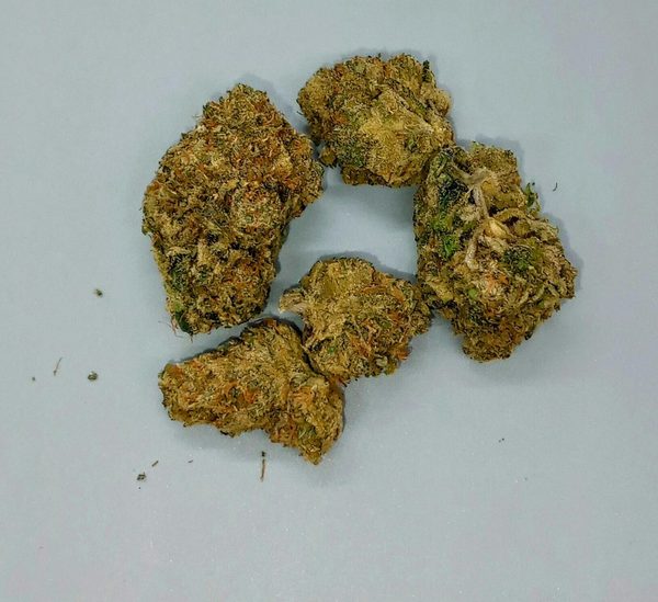 Tahoe Alien by Antero Sciences — flower available at Terps Dispensary, Pueblo, CO