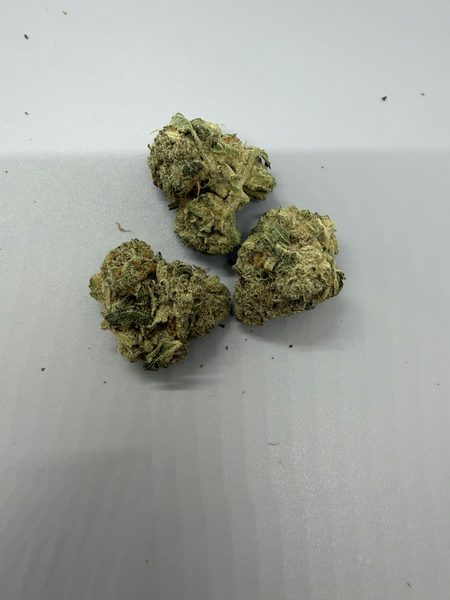 Notorious THC by Vera Cultivation — flower available at Terps Dispensary, Pueblo, CO