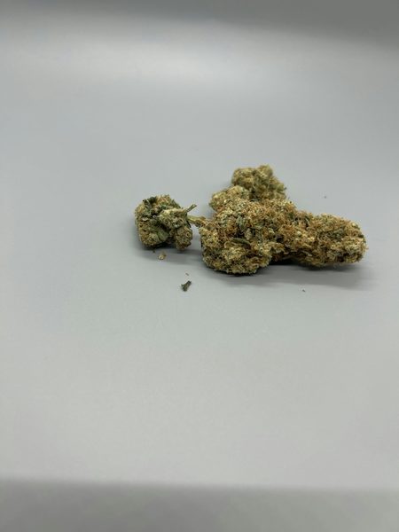 Double Mandarin Daiquiri by Vera — flower available at Terps Dispensary, Pueblo, CO