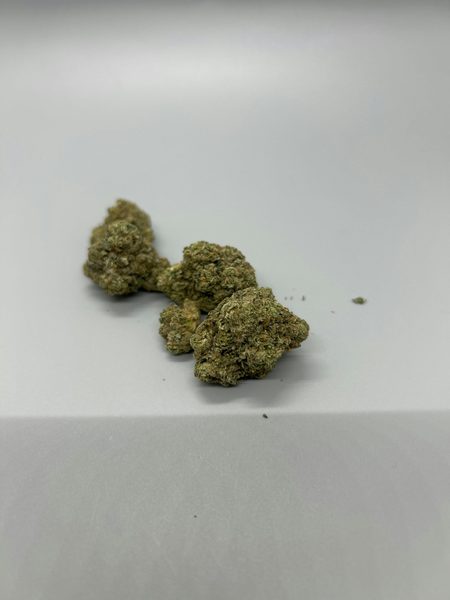 Zoomies by Antero Sciences — flower at Terps Dispensary in Pueblo, CO