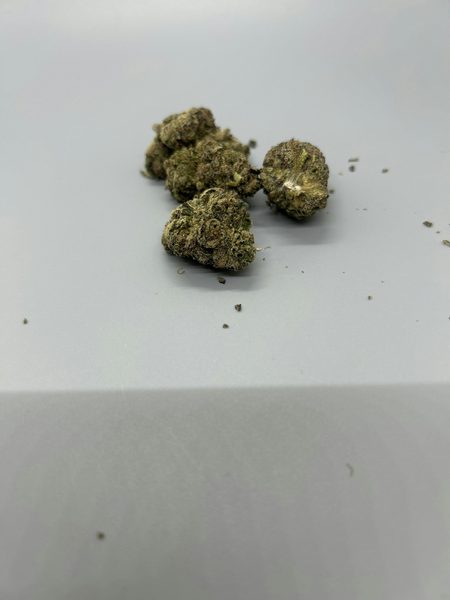 Sherb Cream Pie by Antero Sciences — flower available at Terps Dispensary, Pueblo, CO