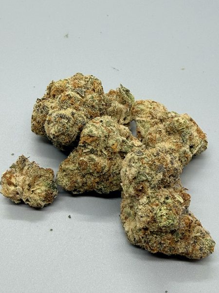 Astronaut Status by Clearwater — flower available at Terps Dispensary, Pueblo, CO