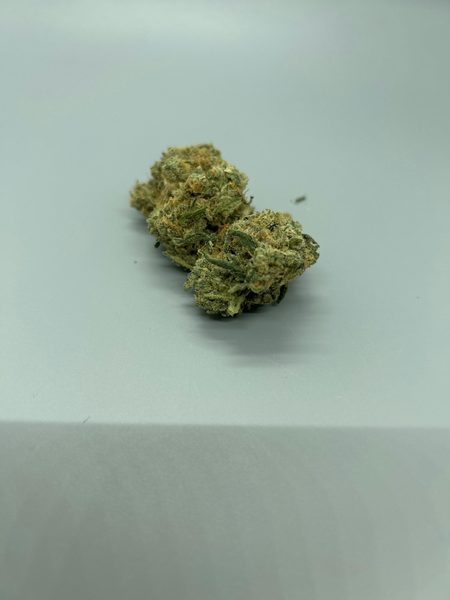 Lemon Dankess x Peach Breath #5 by Vera — flower available at Terps Dispensary, Pueblo, CO