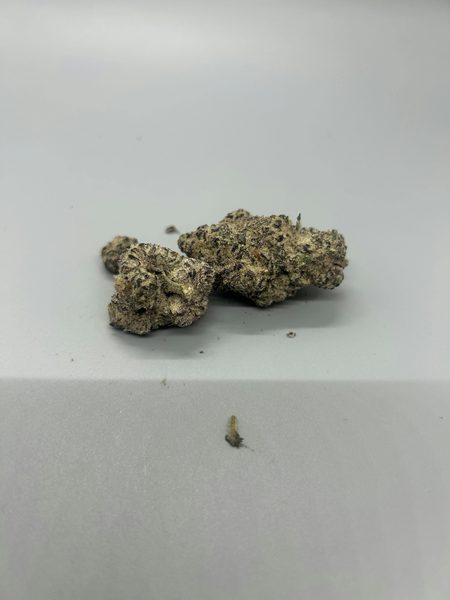 Virgin Mary LLC - Dante's Inferno by Terps — flower available at Terps Dispensary, Pueblo, CO