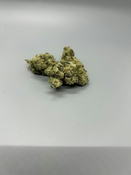 Fizz by Vera Cultivation — flower available at Terps Dispensary, Pueblo, CO