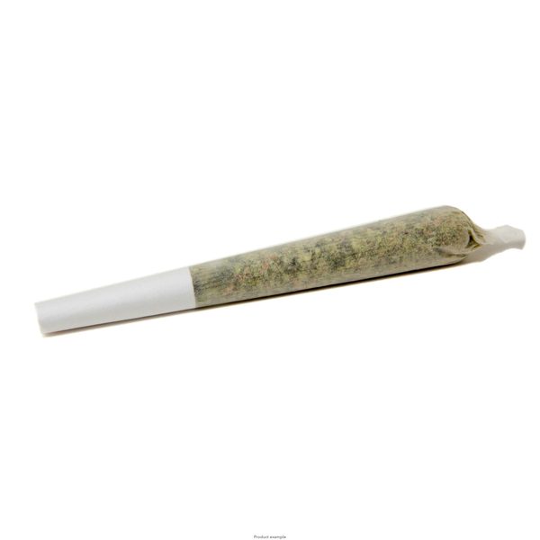 Natty Rems Preroll by Natty Rems — flower at Terps Dispensary in Pueblo, CO